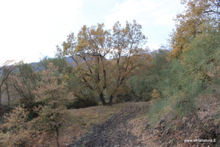 Piano Bello-Monte Fontane